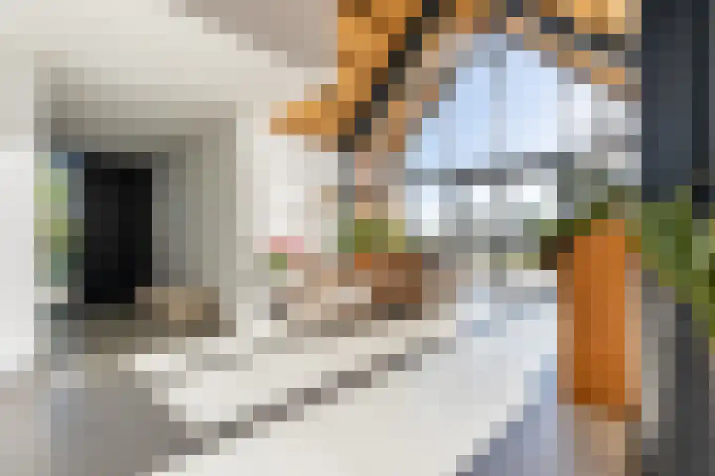 Eersteling 8 Brielle thumbnail 20