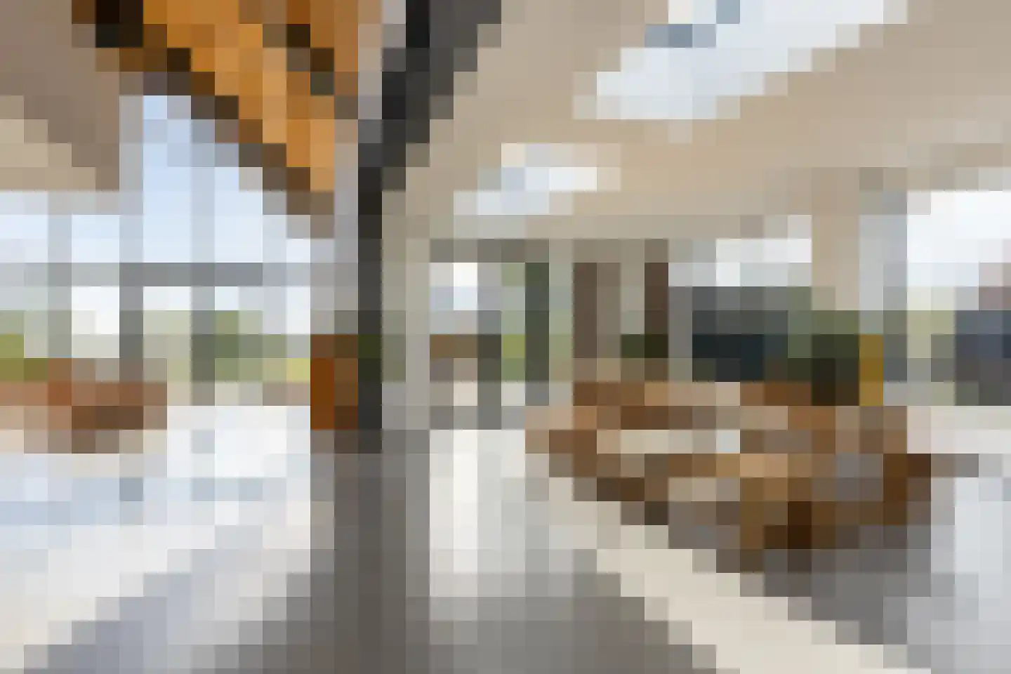 Eersteling 8 Brielle thumbnail 25