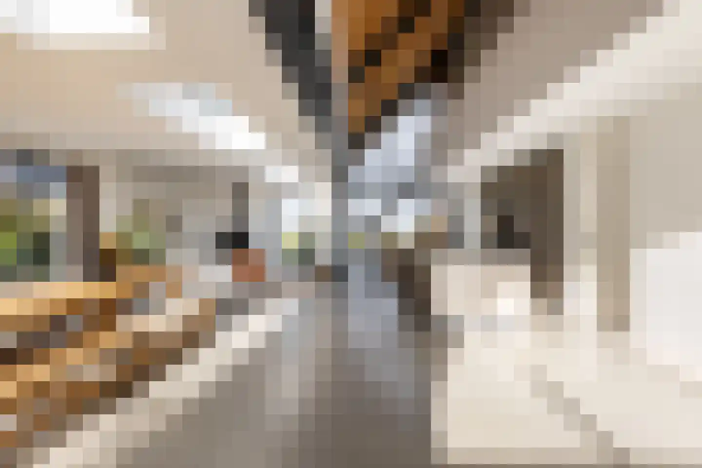 Eersteling 8 Brielle thumbnail 27