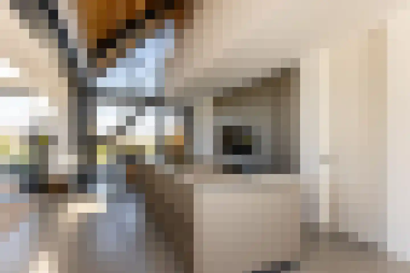 Eersteling 8 Brielle thumbnail 29
