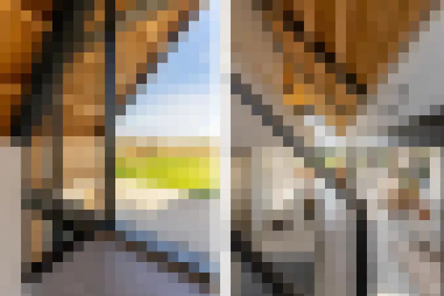 Eersteling 8 Brielle thumbnail 37