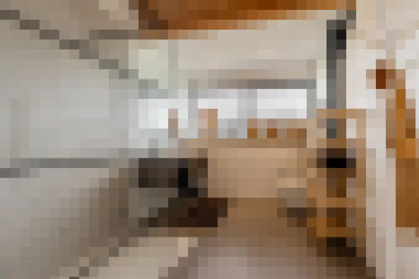 Eersteling 8 Brielle thumbnail 39