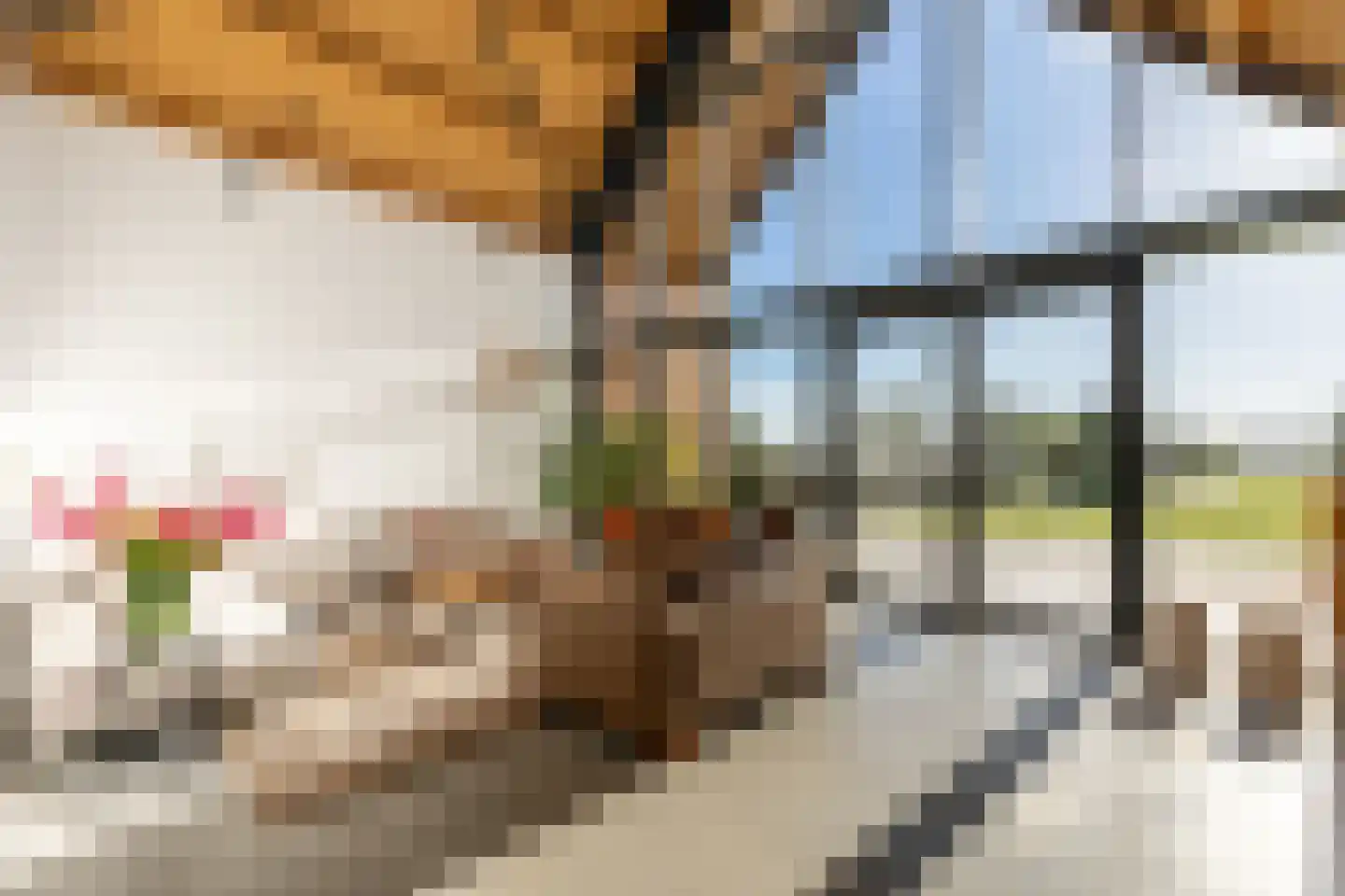 Eersteling 8 Brielle thumbnail 4