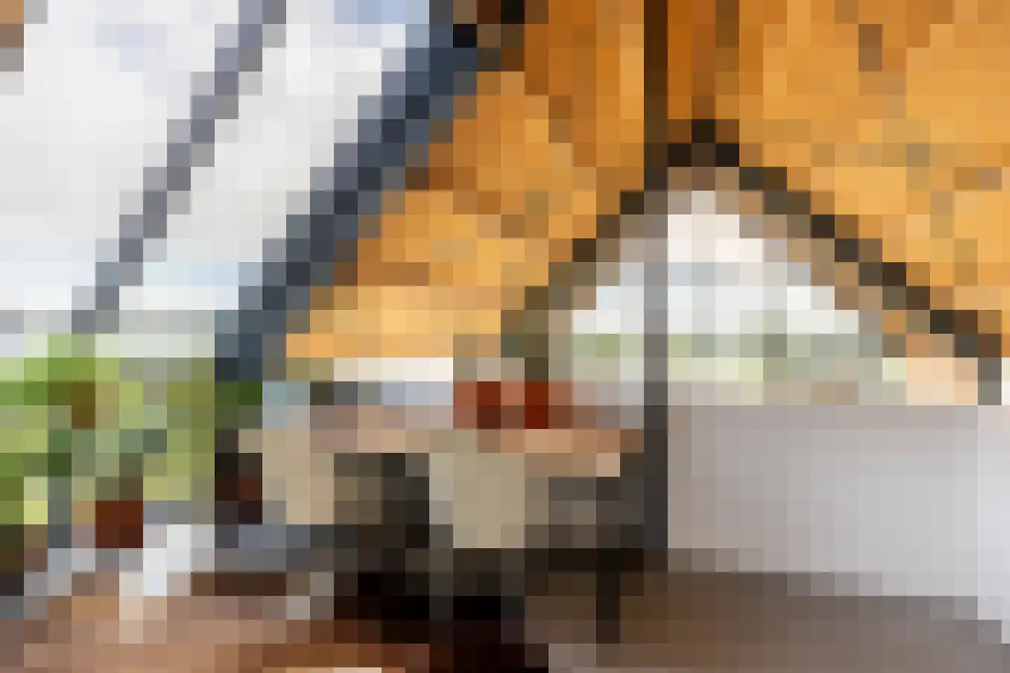 Eersteling 8 Brielle thumbnail 42