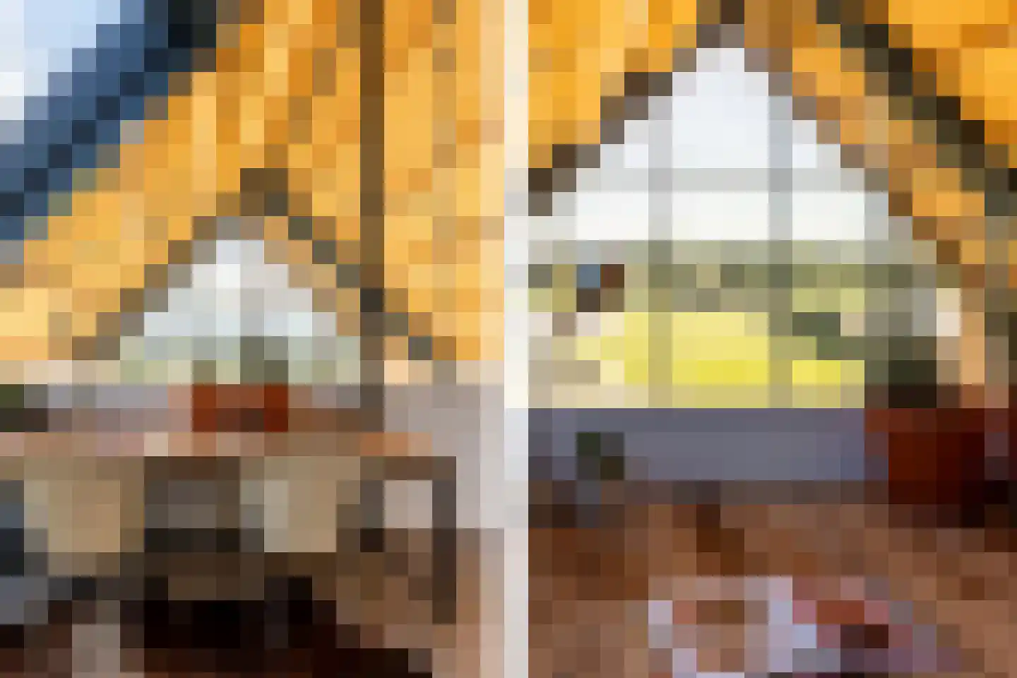 Eersteling 8 Brielle thumbnail 43