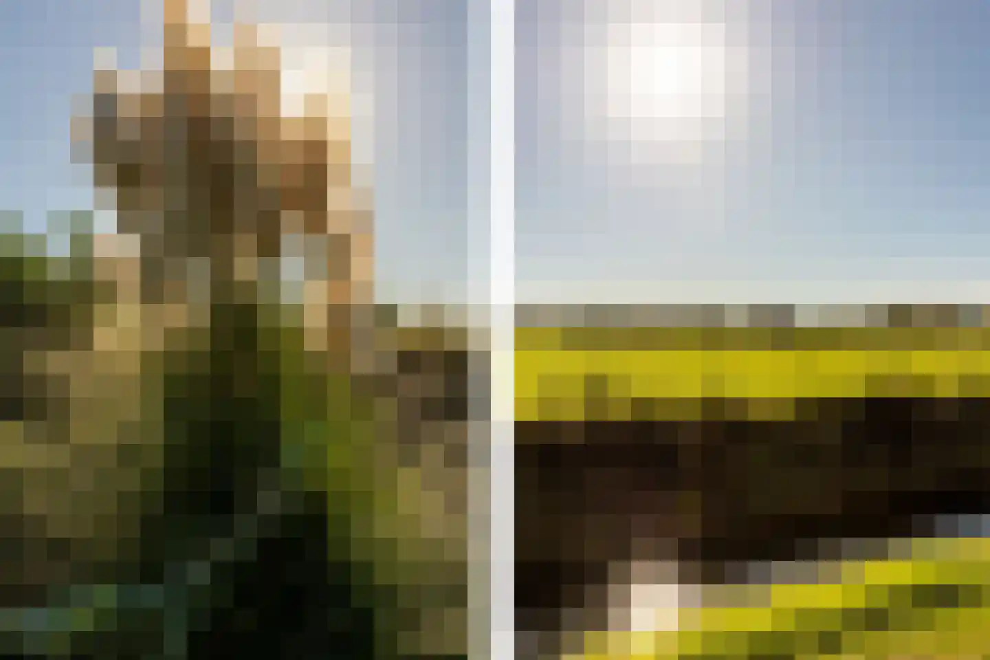 Eersteling 8 Brielle thumbnail 56
