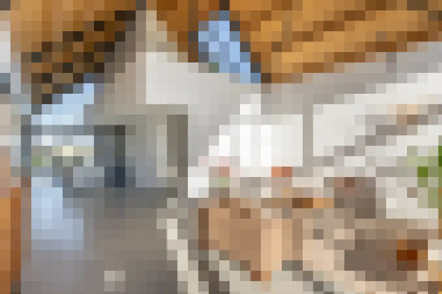 Eersteling 8 Brielle thumbnail 6
