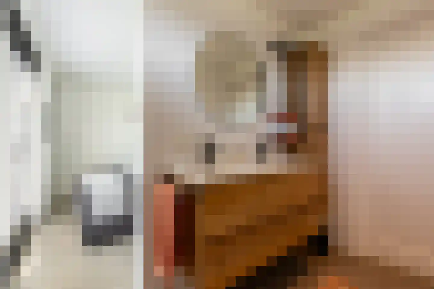 Eersteling 8 Brielle thumbnail 65