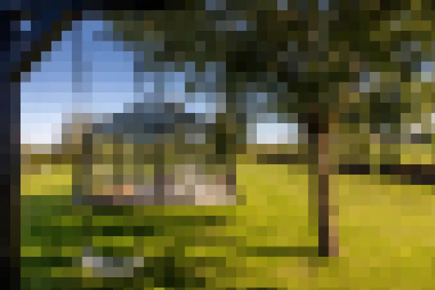 Eersteling 8 Brielle thumbnail 77