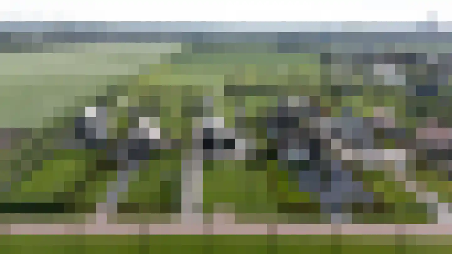 Eersteling 8 Brielle thumbnail 78