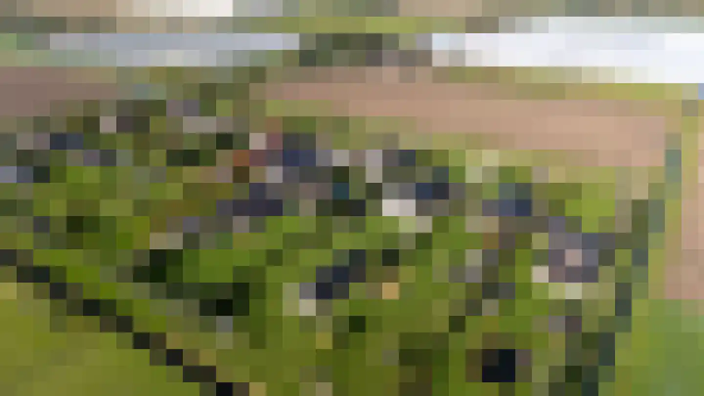 Eersteling 8 Brielle thumbnail 83