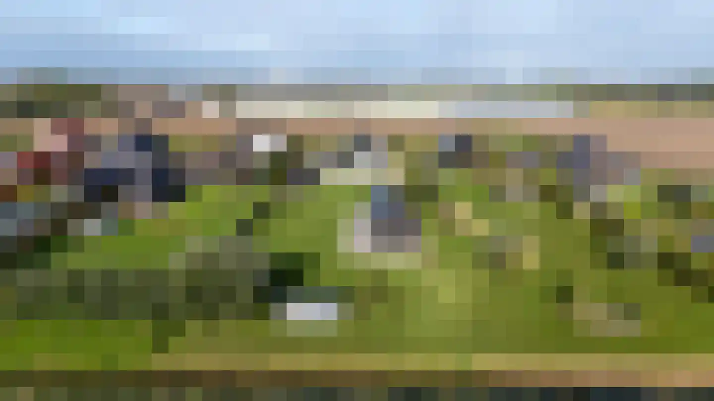 Eersteling 8 Brielle thumbnail 84