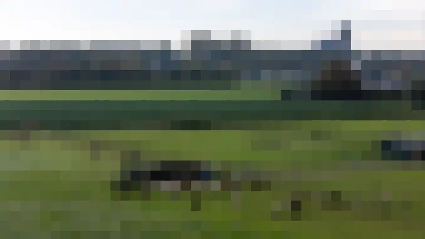 Eersteling 8 Brielle thumbnail 85