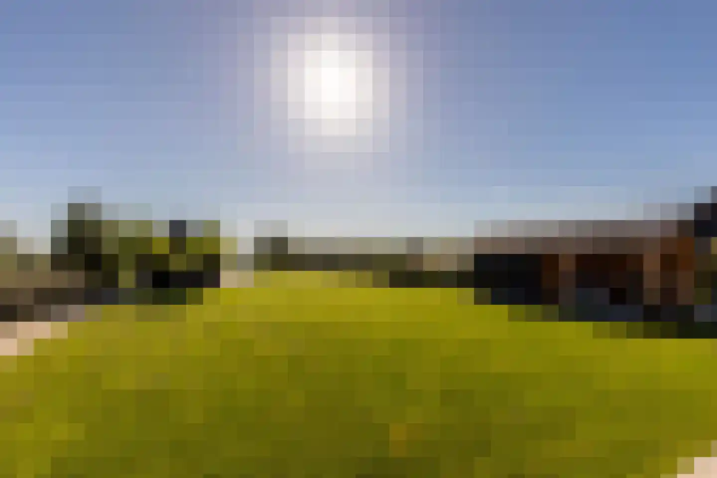 Eersteling 8 Brielle thumbnail 9