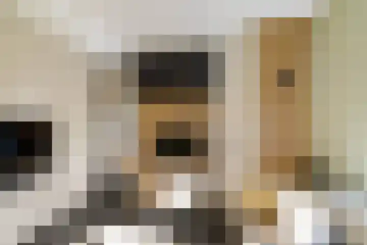 Eertouw 21 Haren Gn thumbnail 22