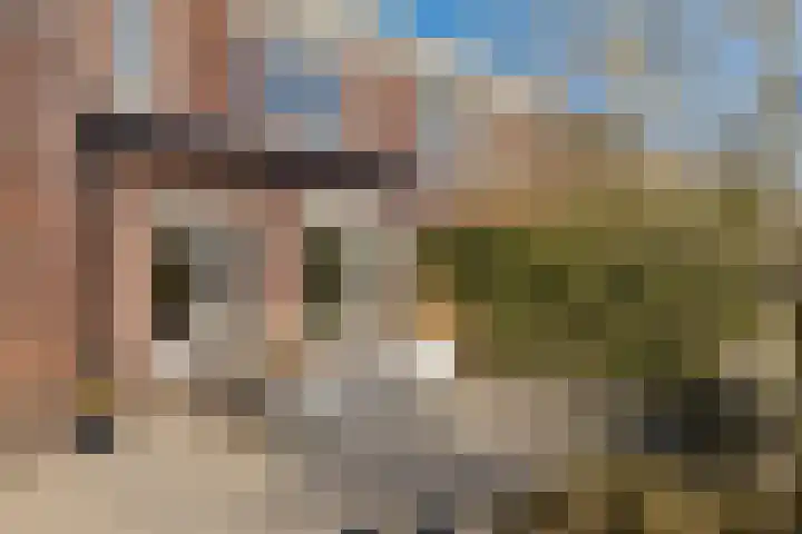Eertouw 21 Haren Gn thumbnail 26