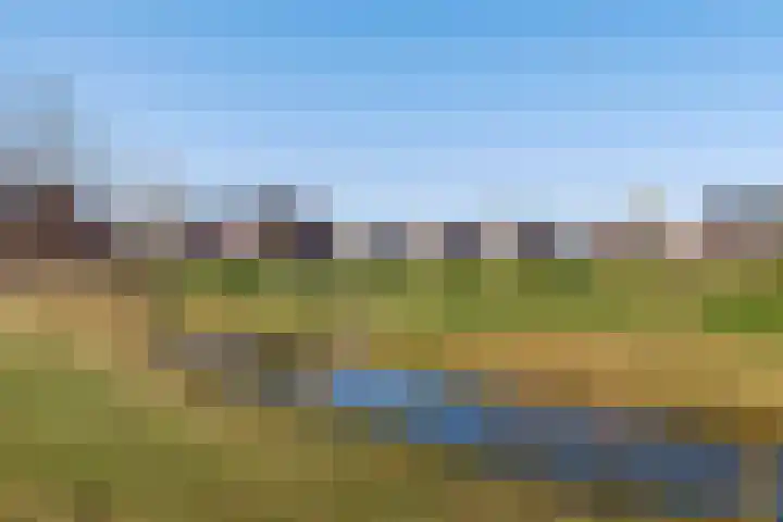 Eertouw 21 Haren Gn thumbnail 49