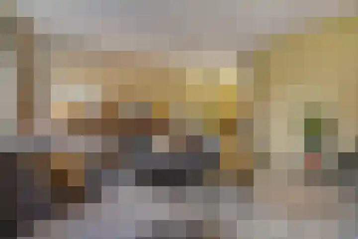 Eertouw 21 Haren Gn thumbnail 8