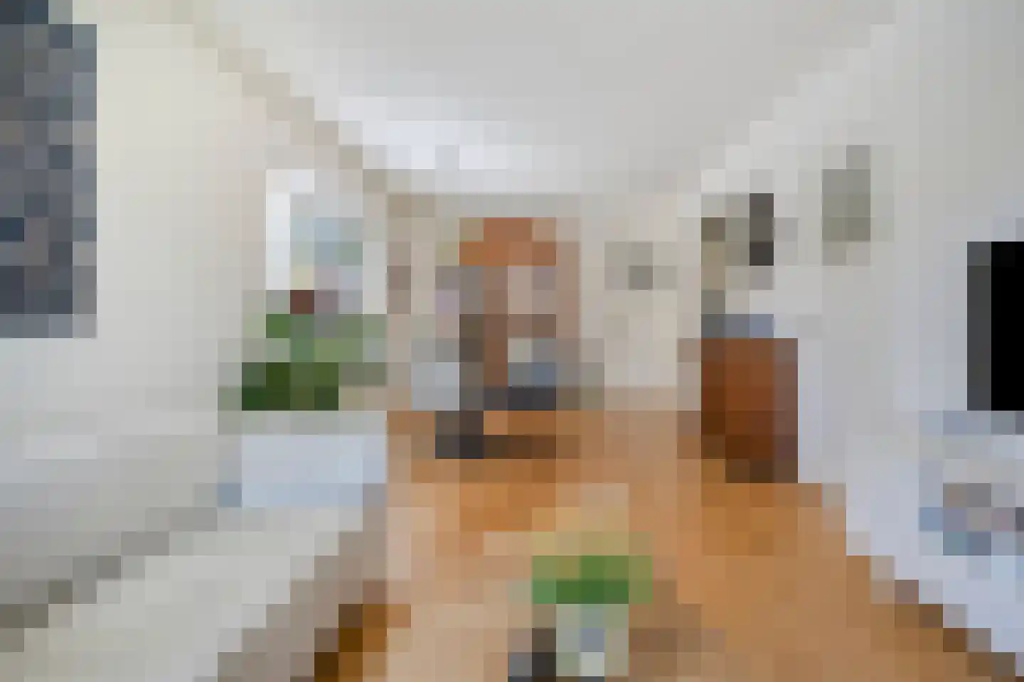 Eeserstraat 16 Borger thumbnail 18