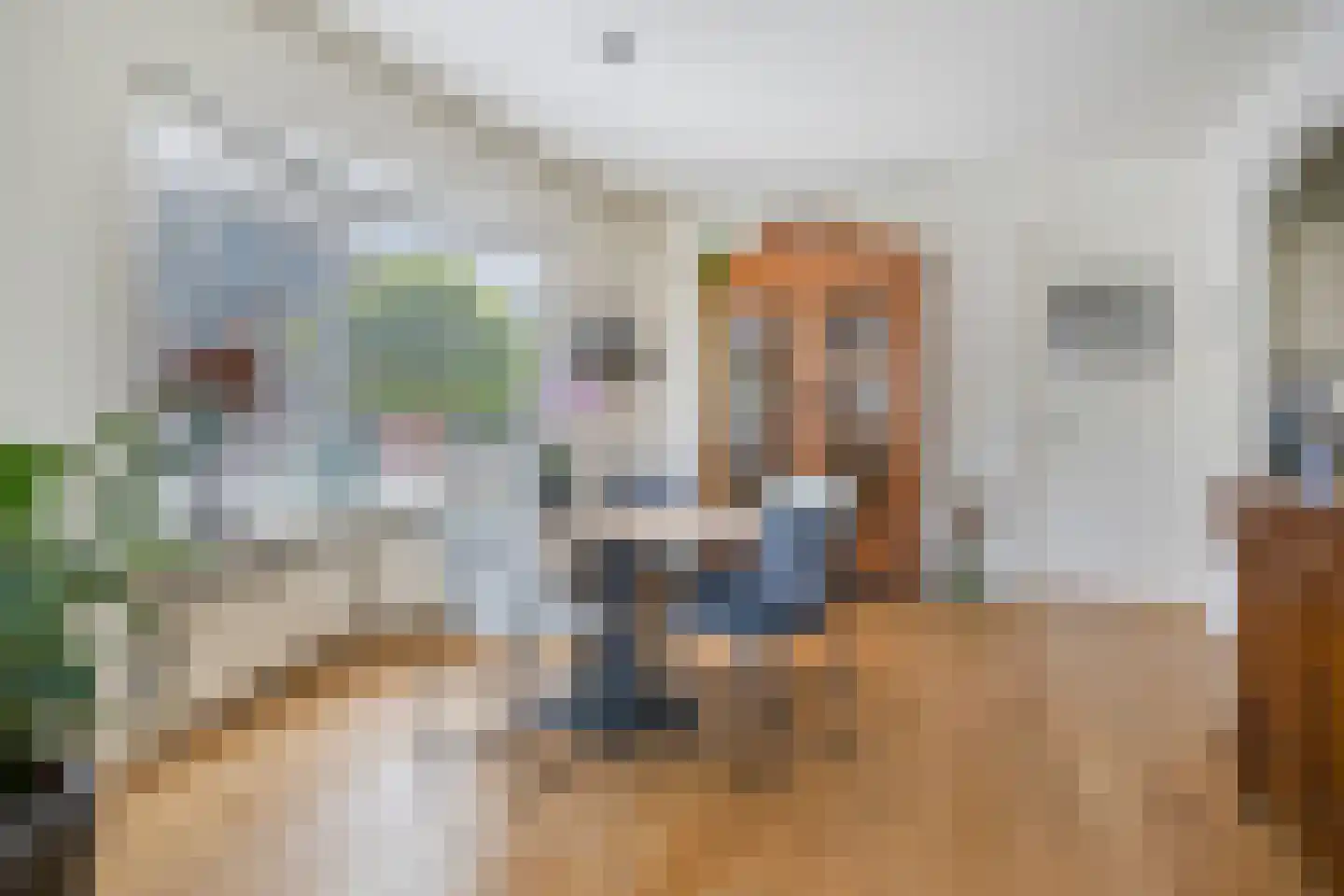 Eeserstraat 16 Borger thumbnail 19