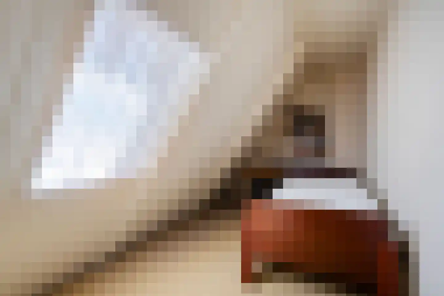 Eeserstraat 16 Borger thumbnail 32