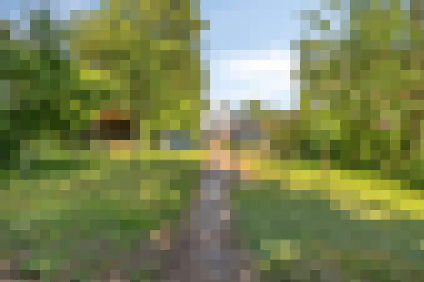 Eeserstraat 16 Borger thumbnail 39