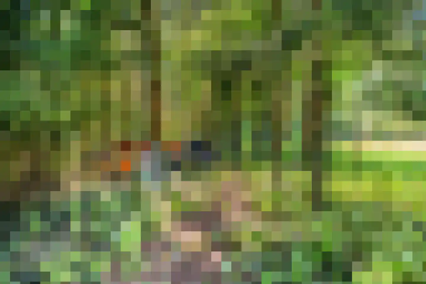 Eeserstraat 16 Borger thumbnail 40