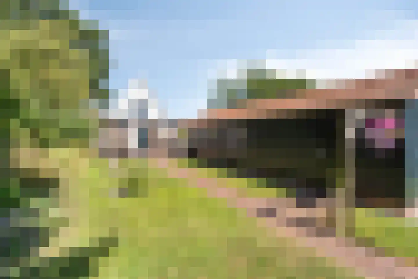 Eeserstraat 16 Borger thumbnail 44