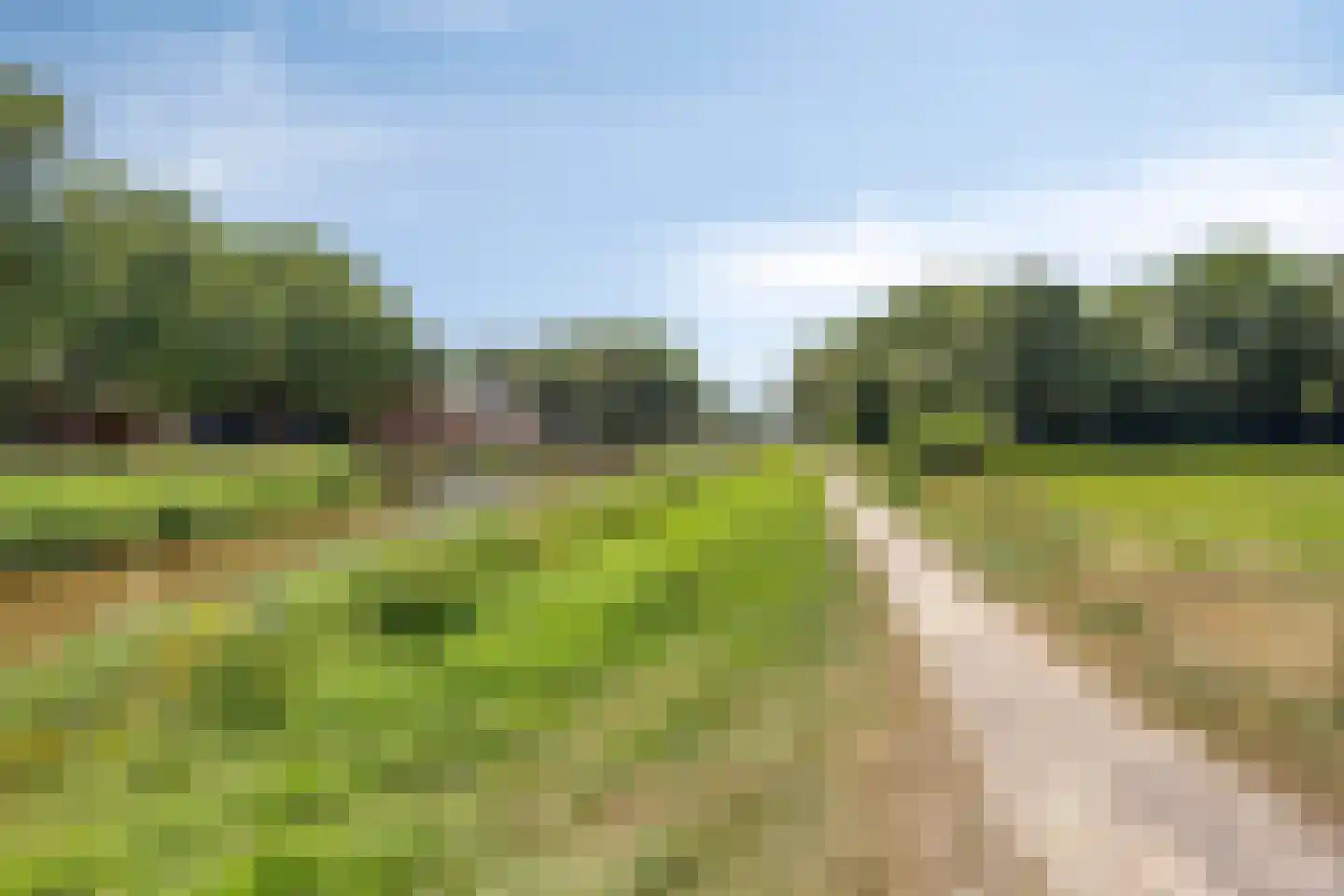 Eeserstraat 16 Borger thumbnail 47