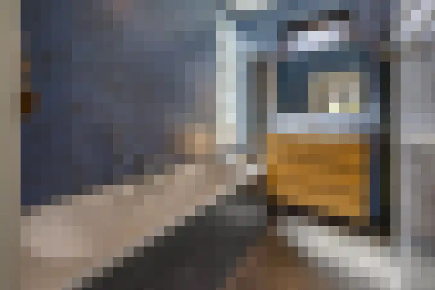 Eeserstraat 23 Borger thumbnail 15