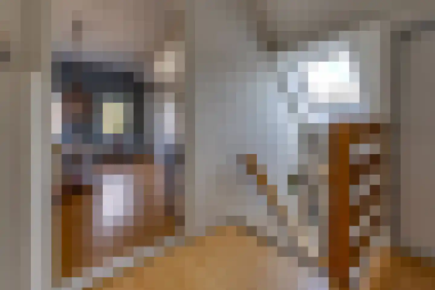 Eeserstraat 23 Borger thumbnail 21