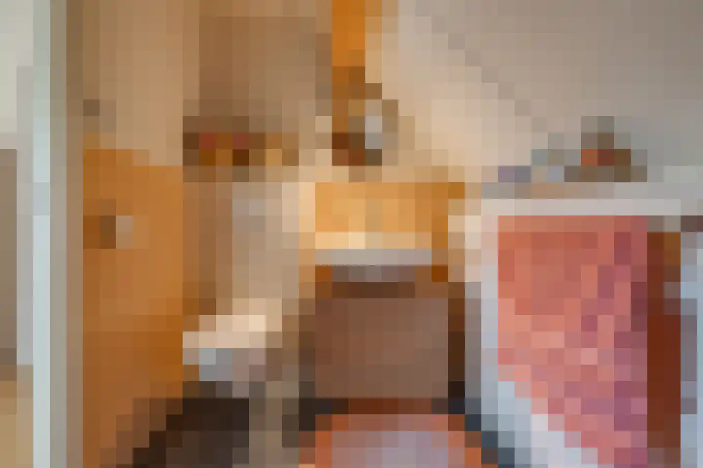 Eeserstraat 23 Borger thumbnail 25