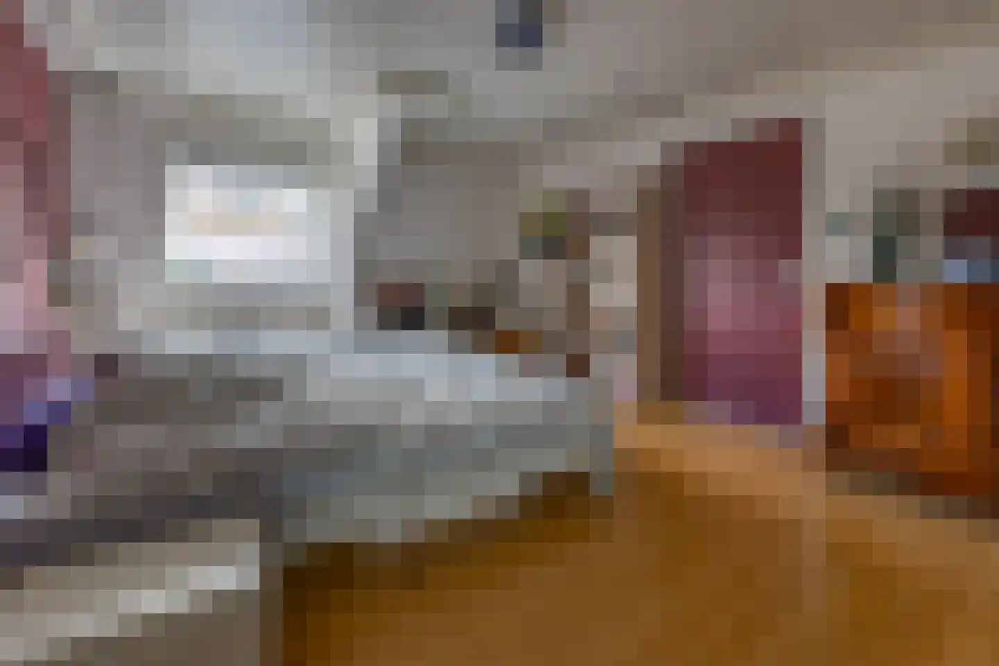 Eeserstraat 23 Borger thumbnail 26