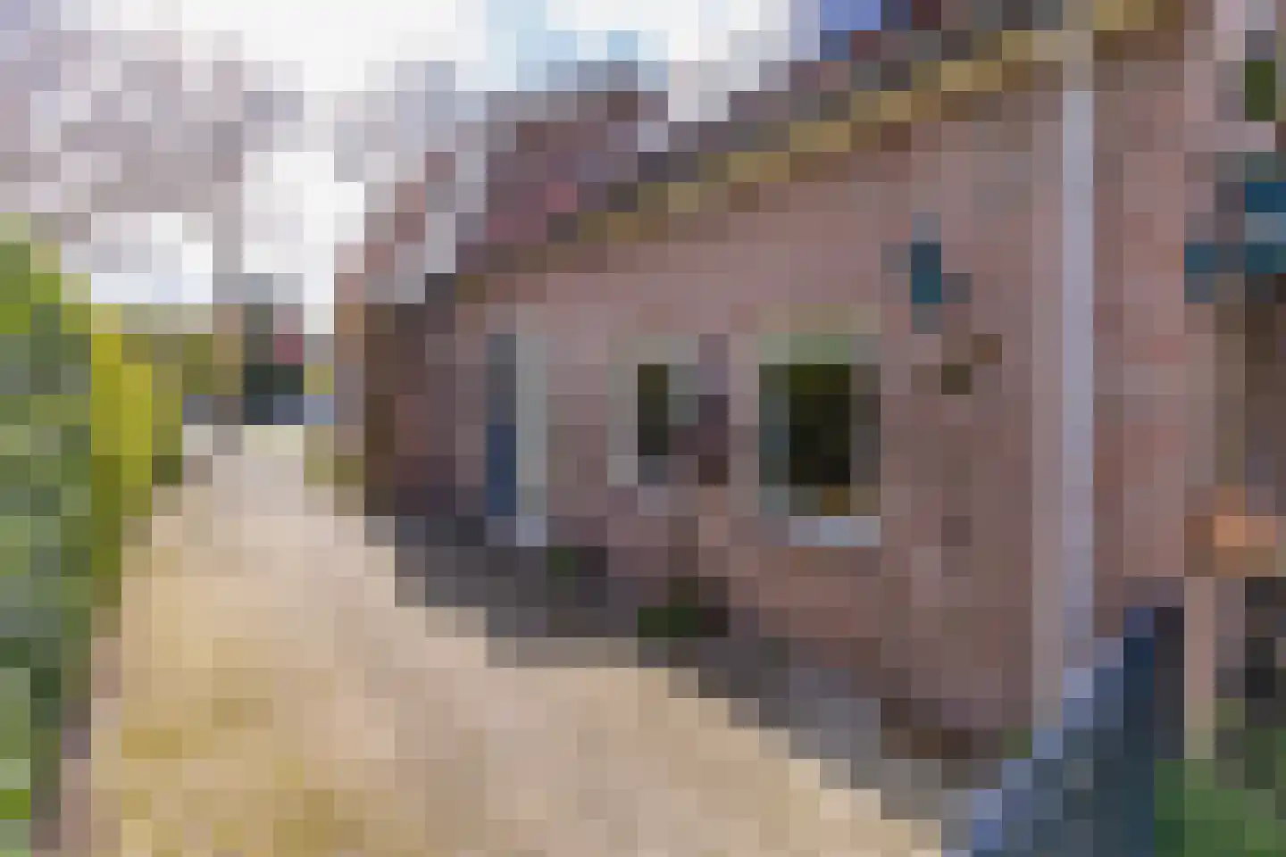 Eeserstraat 23 Borger thumbnail 30