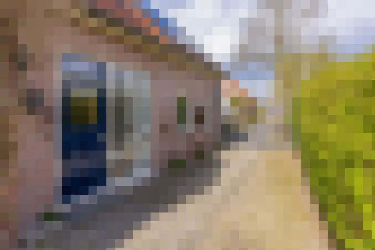 Eeserstraat 23 Borger thumbnail 31