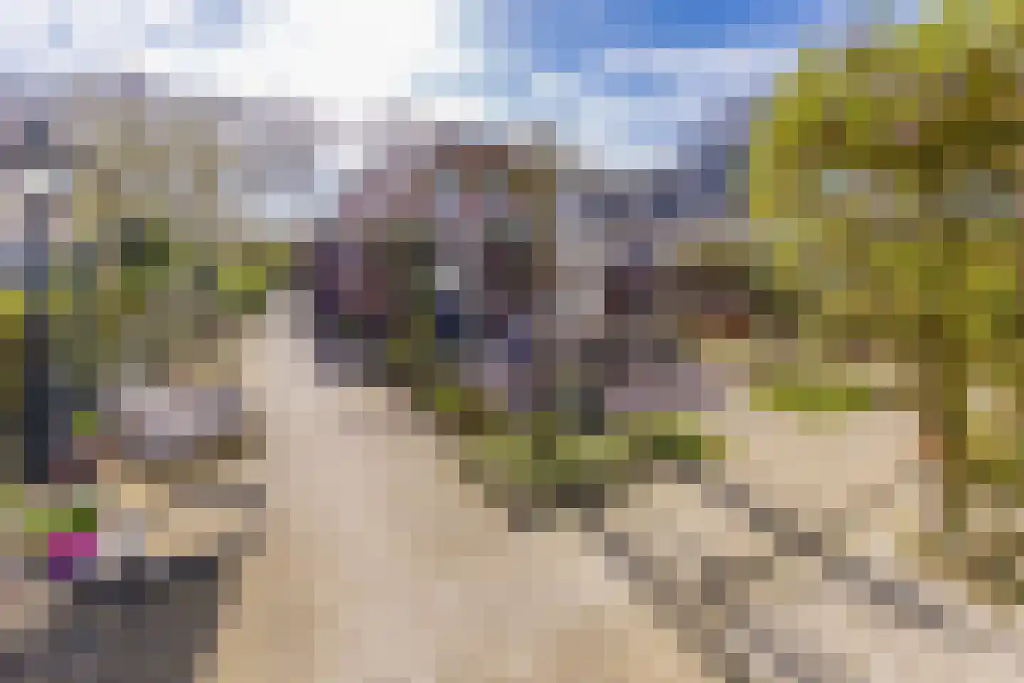 Eeserstraat 23 Borger thumbnail 32
