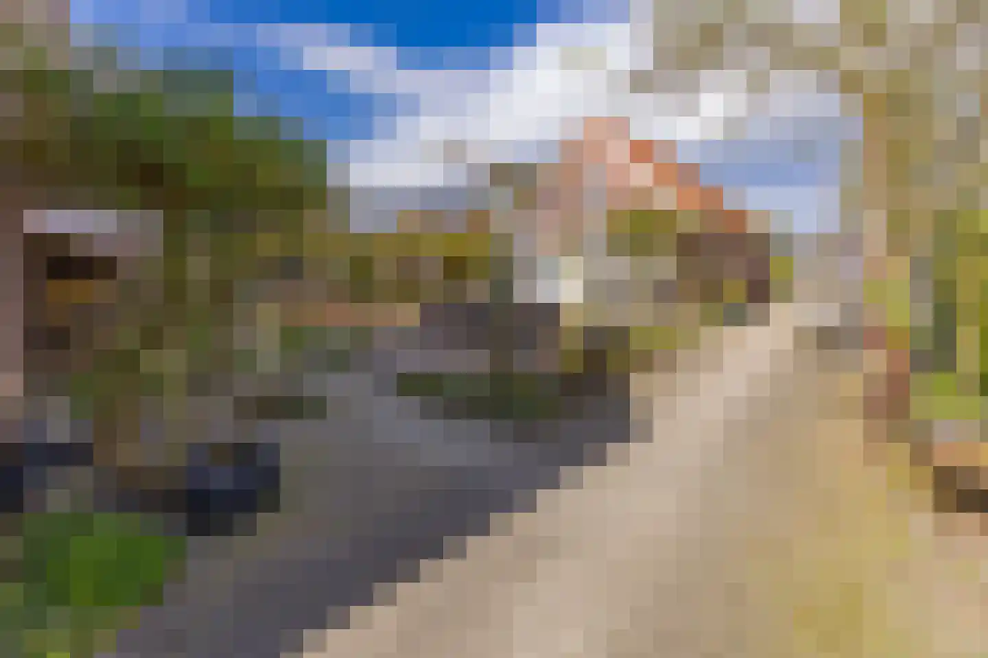 Eeserstraat 23 Borger thumbnail 33
