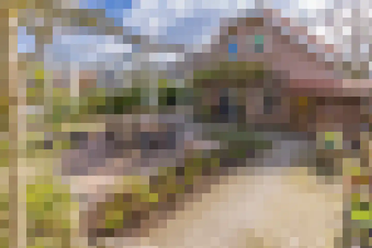 Eeserstraat 23 Borger thumbnail 35