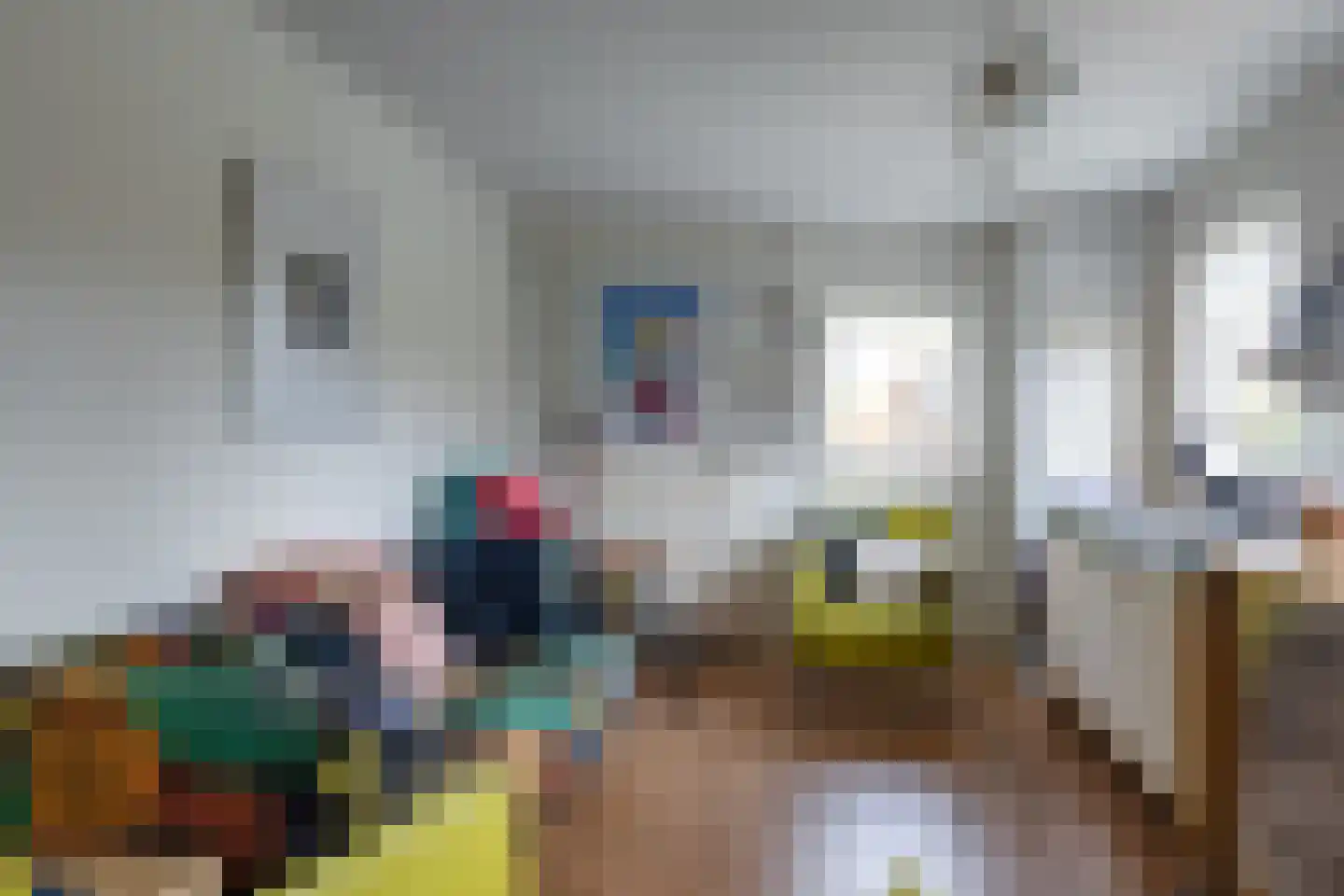 Eeserstraat 23 Borger thumbnail 38