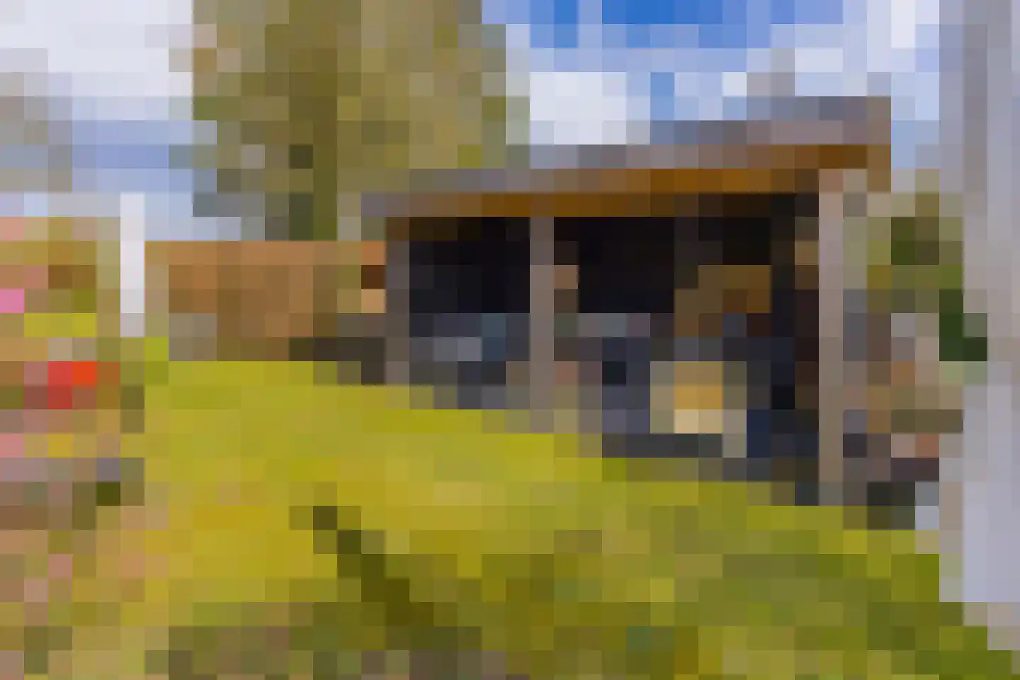 Eeserstraat 23 Borger thumbnail 43