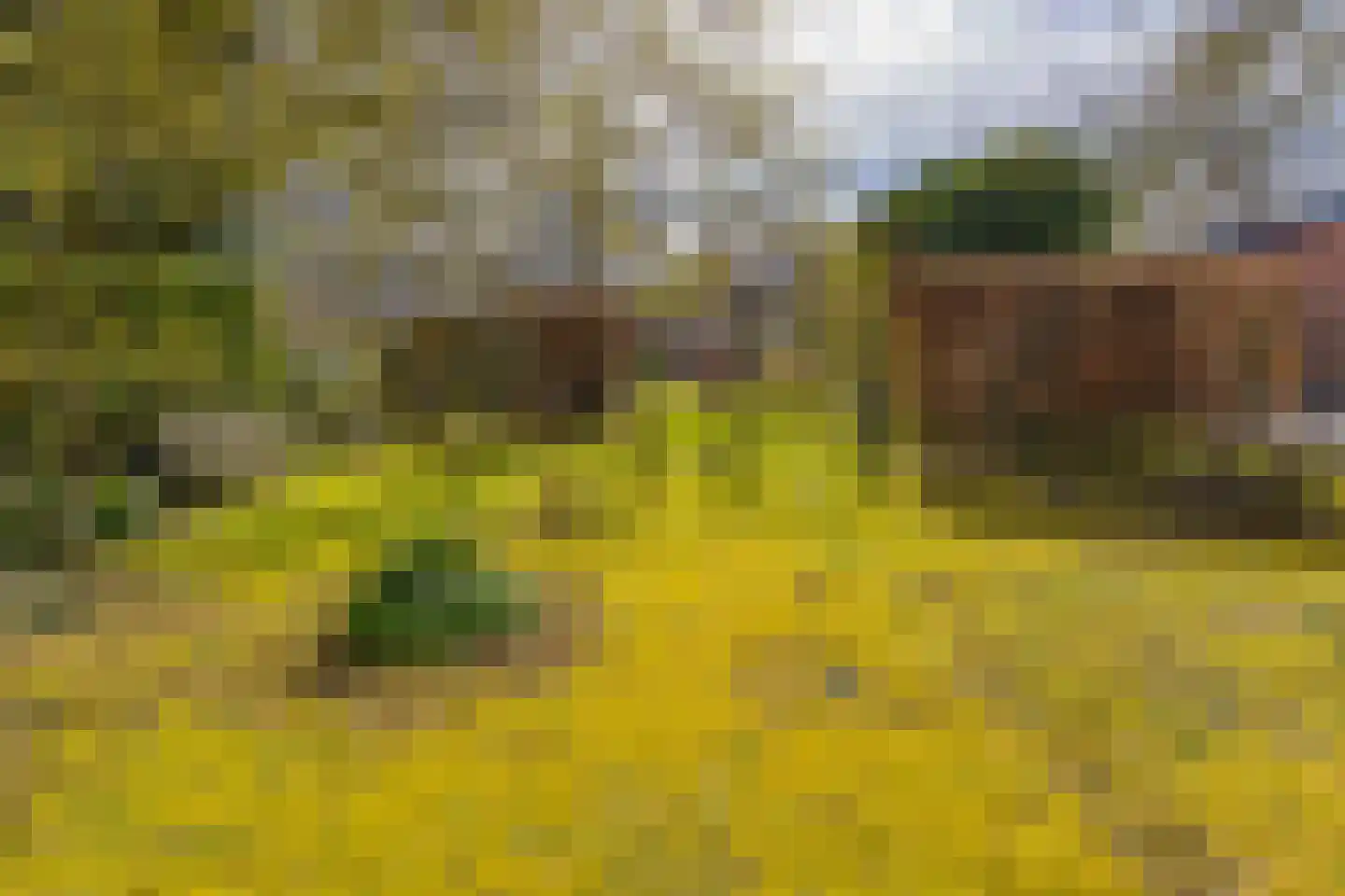 Eeserstraat 23 Borger thumbnail 44