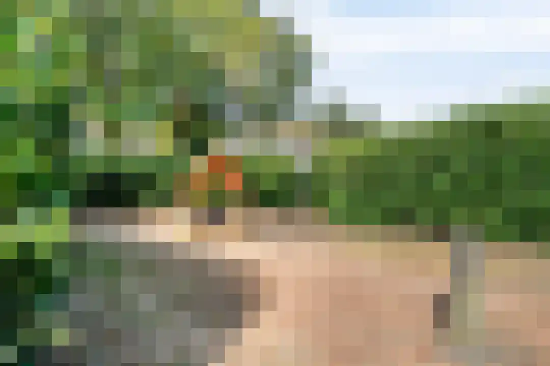 Eeshof 6 Ede thumbnail 26