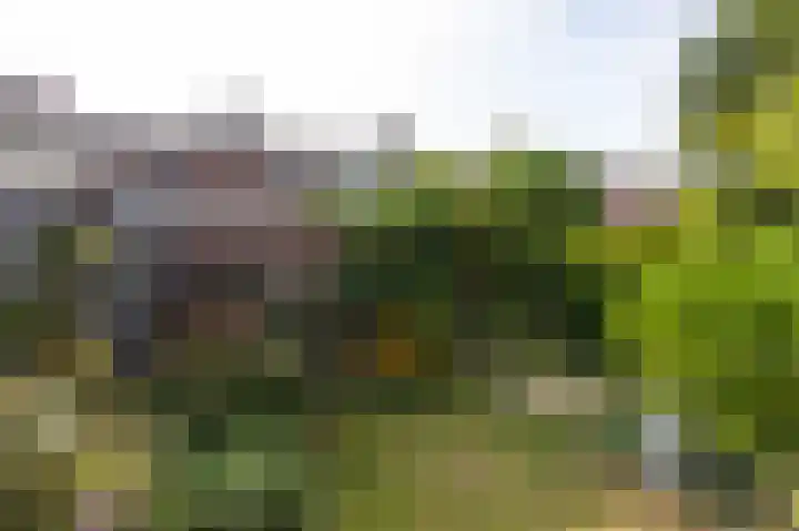 Eeshofstraat 5 Arnhem thumbnail 30