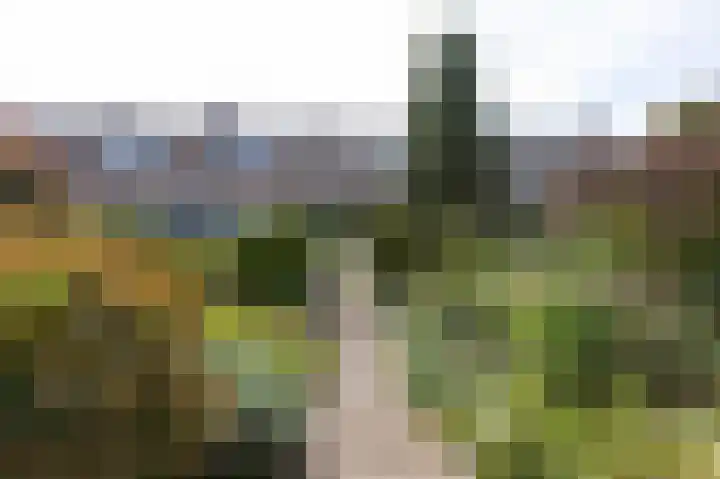 Eeshofstraat 5 Arnhem thumbnail 33