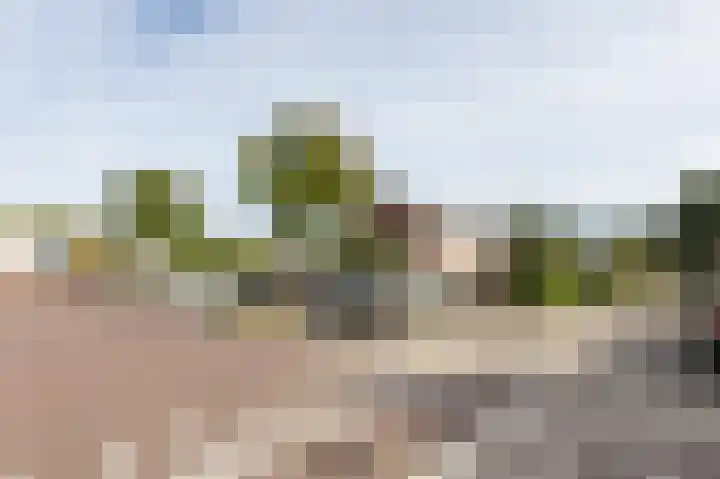 Eeshofstraat 5 Arnhem thumbnail 35