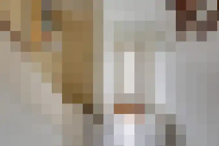 Eeshofstraat 5 Arnhem thumbnail 5