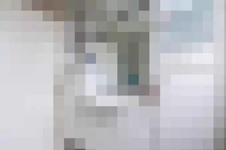 Eessenkamp 89 Wapenveld thumbnail 13
