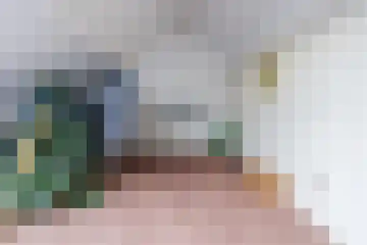 Eessenkamp 89 Wapenveld thumbnail 15