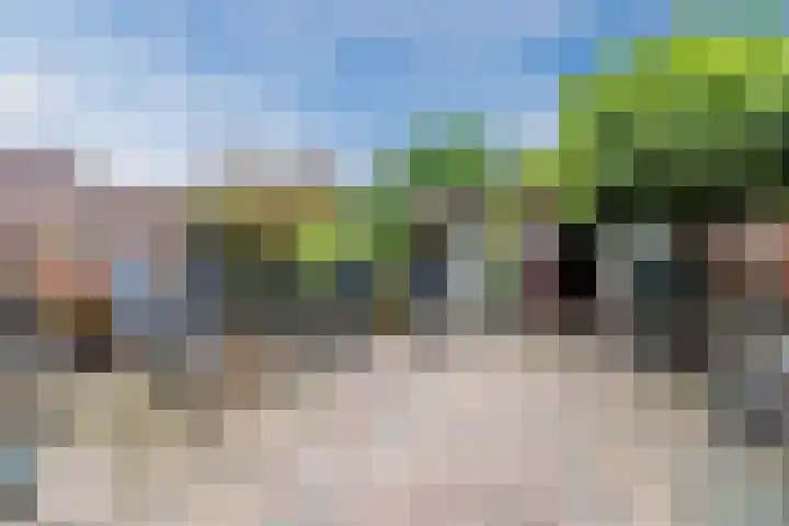Eessenkamp 89 Wapenveld thumbnail 16