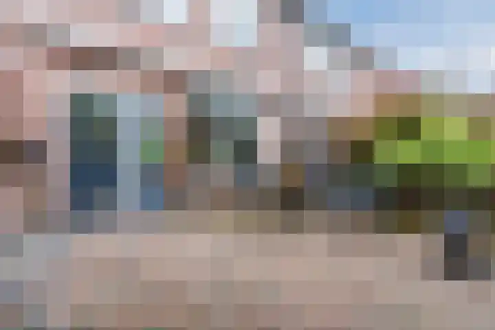 Eessenkamp 89 Wapenveld thumbnail 17